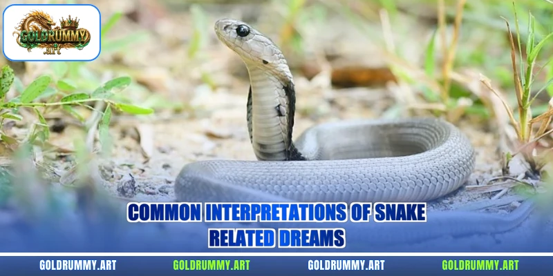 Common interpretations of snake-related dreams