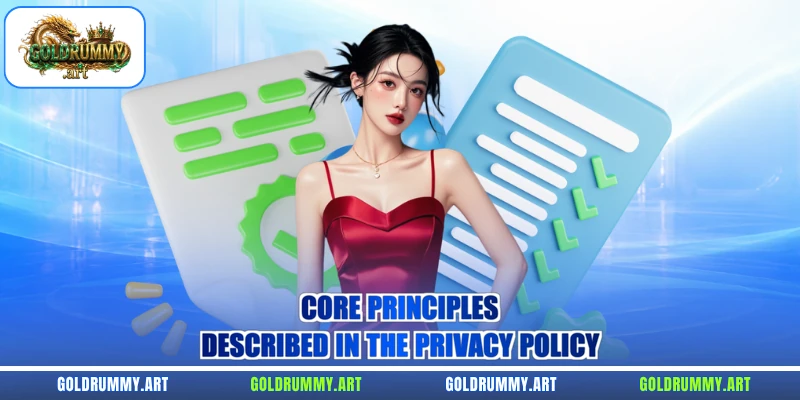 Core principles described in the privacy policy
