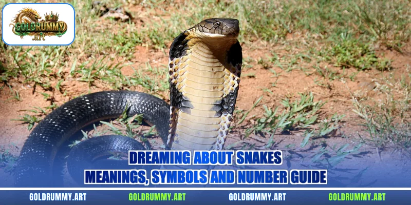Dreaming About Snakes – Meanings, Symbols And Number Guide
