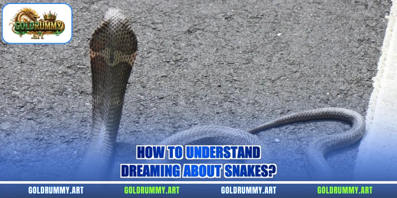 How to understand dreaming about snakes?