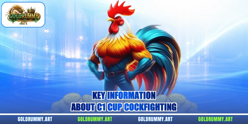 Key information about C1 Cup cockfighting