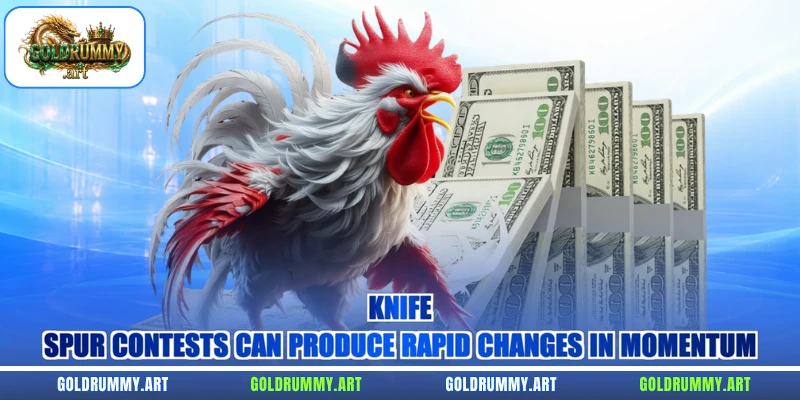 Knife-spur contests can produce rapid changes in momentum