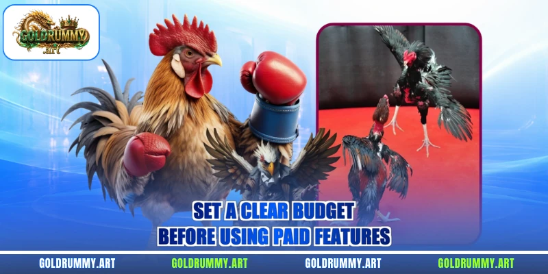 Set a clear budget before using paid features