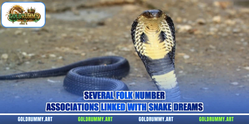 Several folk number associations linked with snake dreams