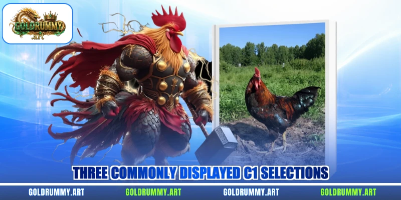 Three commonly displayed C1 selections